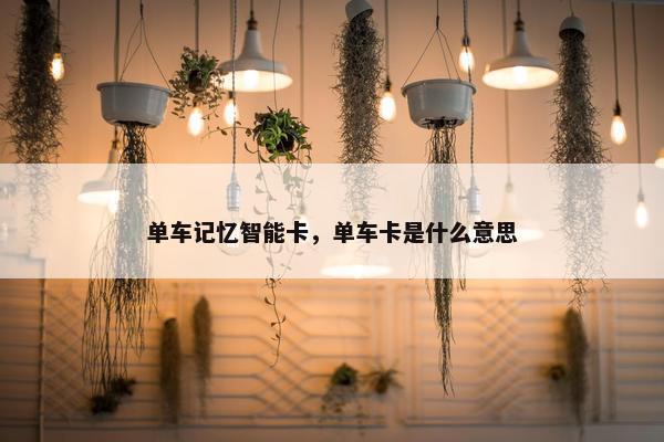 单车记忆智能卡，单车卡是什么意思