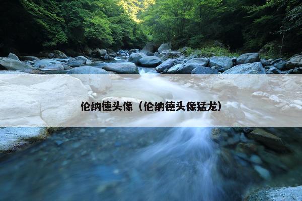 伦纳德头像（伦纳德头像猛龙）