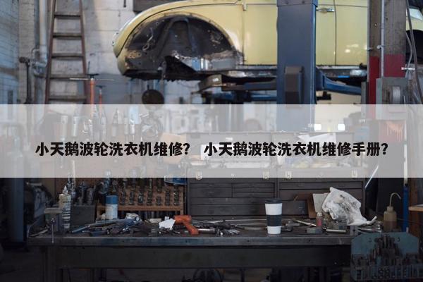 小天鹅波轮洗衣机维修？ 小天鹅波轮洗衣机维修手册？