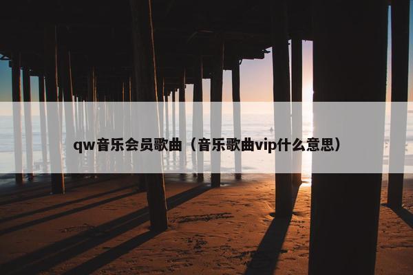 qw音乐会员歌曲（音乐歌曲vip什么意思）
