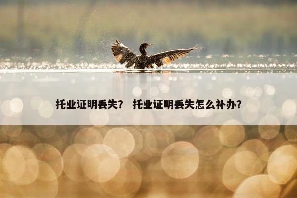 托业证明丢失？ 托业证明丢失怎么补办？