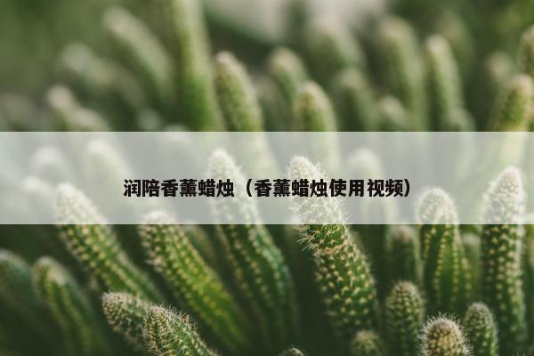 润陪香薰蜡烛（香薰蜡烛使用视频）
