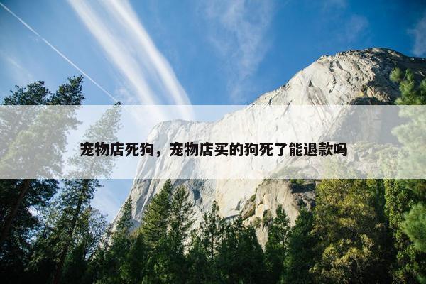 宠物店死狗，宠物店买的狗死了能退款吗