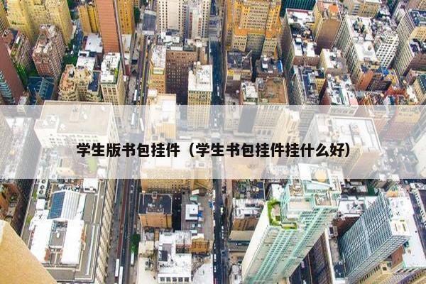 学生版书包挂件（学生书包挂件挂什么好）