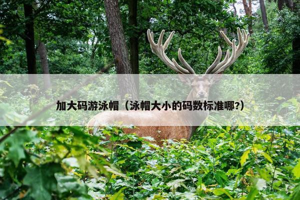 加大码游泳帽（泳帽大小的码数标准哪?）
