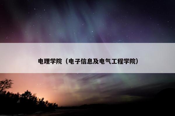 电理学院（电子信息及电气工程学院）