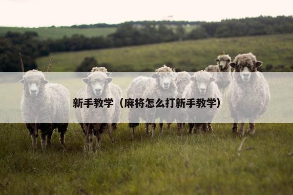 新手教学（麻将怎么打新手教学）