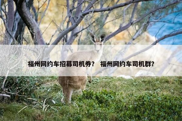 福州网约车招募司机券？ 福州网约车司机群？