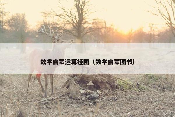 数学启蒙运算挂图（数学启蒙图书）