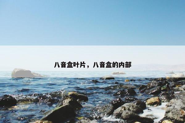 八音盒叶片，八音盒的内部