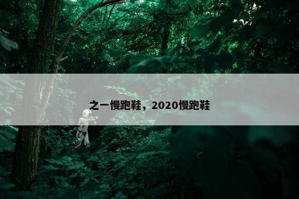 之一慢跑鞋，2020慢跑鞋