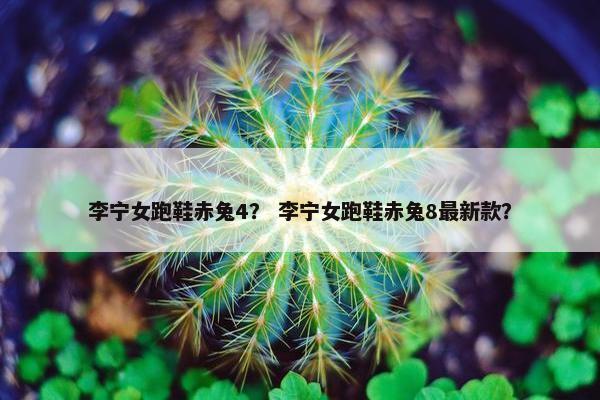 李宁女跑鞋赤兔4？ 李宁女跑鞋赤兔8最新款？