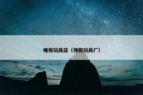 唯俊玩具店（伟俊玩具厂）