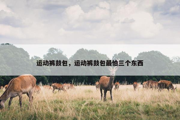 运动裤鼓包，运动裤鼓包最怕三个东西