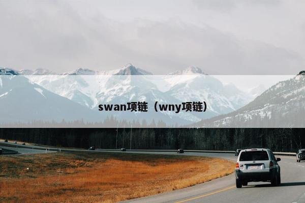 swan项链（wny项链）