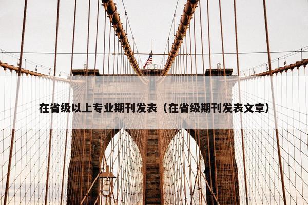 在省级以上专业期刊发表（在省级期刊发表文章）