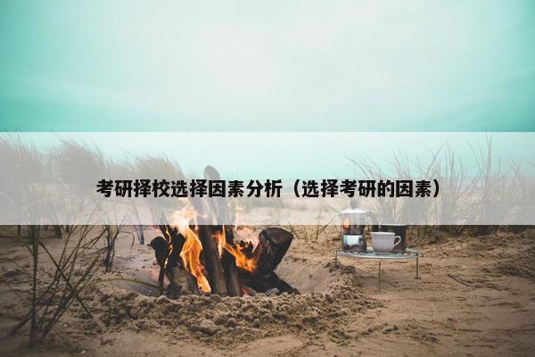 考研择校选择因素分析（选择考研的因素）