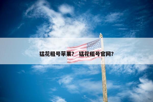 猛花租号苹果？ 猛花租号官网？