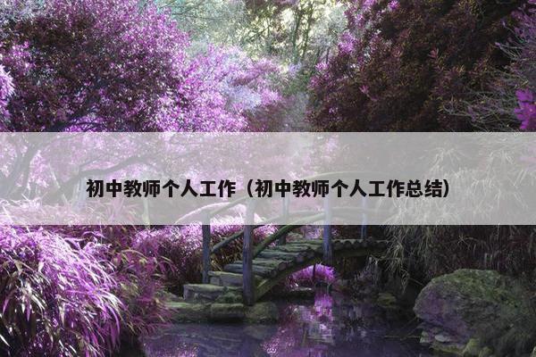 初中教师个人工作（初中教师个人工作总结）