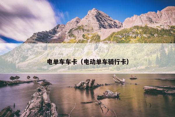 电单车车卡（电动单车骑行卡）