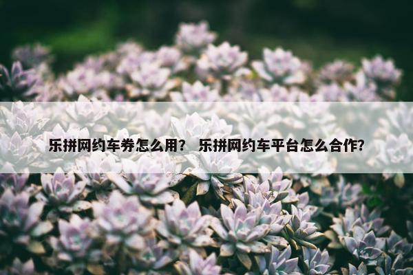 乐拼网约车券怎么用？ 乐拼网约车平台怎么合作？