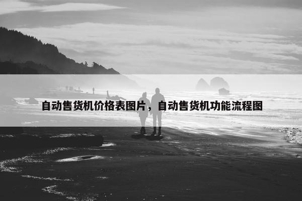 自动售货机价格表图片，自动售货机功能流程图