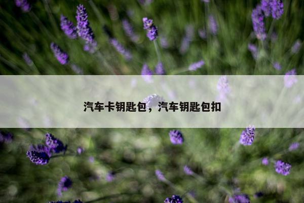 汽车卡钥匙包，汽车钥匙包扣