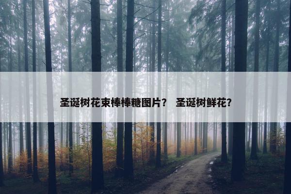 圣诞树花束棒棒糖图片？ 圣诞树鲜花？