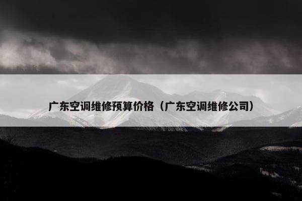 广东空调维修预算价格（广东空调维修公司）