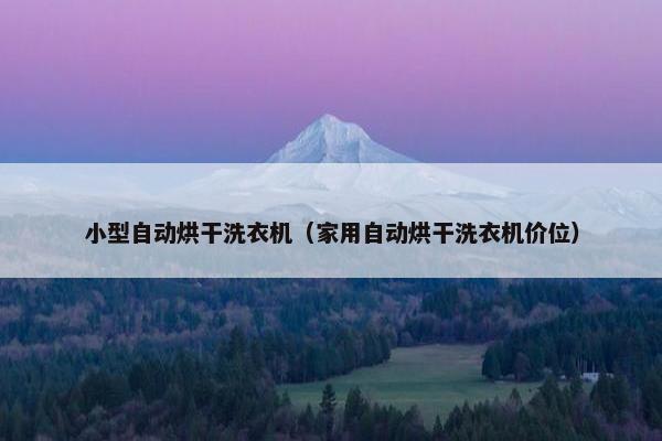 小型自动烘干洗衣机（家用自动烘干洗衣机价位）