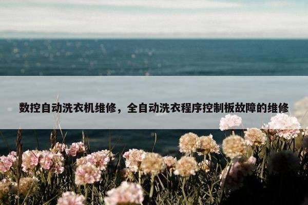 数控自动洗衣机维修，全自动洗衣程序控制板故障的维修