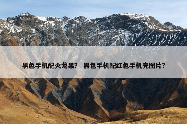 黑色手机配火龙果？ 黑色手机配红色手机壳图片？