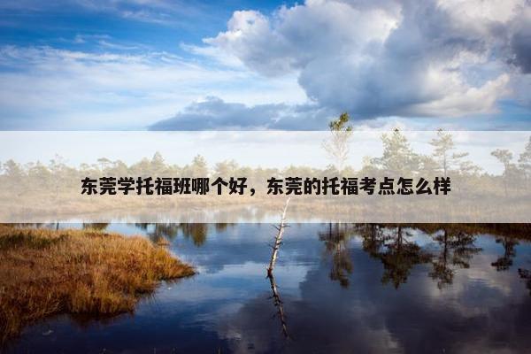 东莞学托福班哪个好，东莞的托福考点怎么样