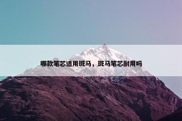 哪款笔芯适用斑马，斑马笔芯耐用吗