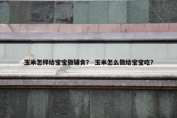 玉米怎样给宝宝做辅食？ 玉米怎么做给宝宝吃？