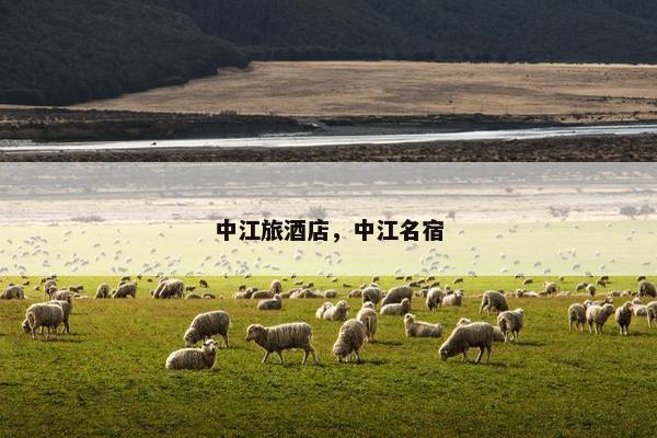 中江旅酒店，中江名宿