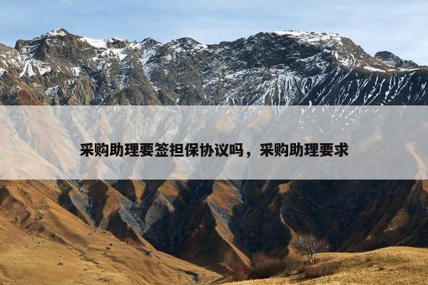 采购助理要签担保协议吗，采购助理要求