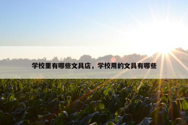 学校里有哪些文具店，学校用的文具有哪些