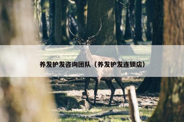 养发护发咨询团队（养发护发连锁店）