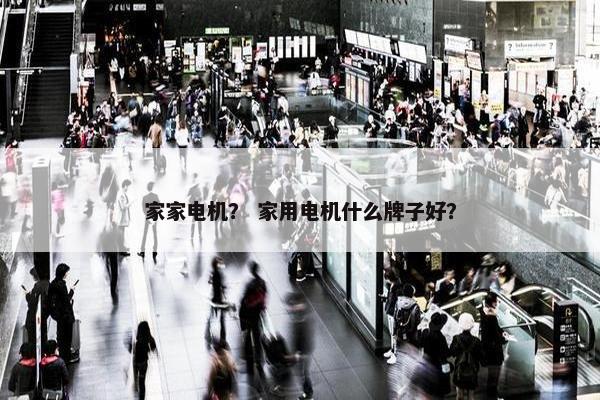 家家电机？ 家用电机什么牌子好？