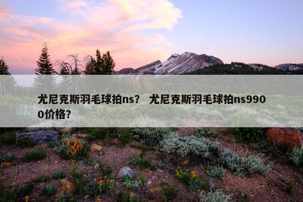 尤尼克斯羽毛球拍ns？ 尤尼克斯羽毛球拍ns9900价格？