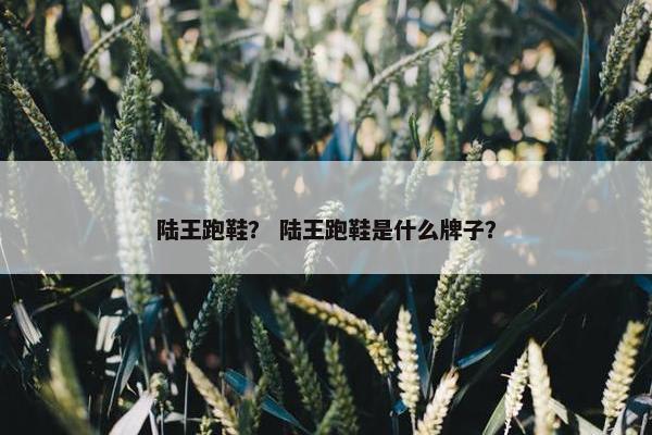 陆王跑鞋？ 陆王跑鞋是什么牌子？