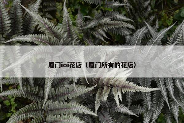 厦门ioi花店（厦门所有的花店）