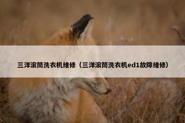 三洋滚筒洗衣机维修（三洋滚筒洗衣机ed1故障维修）