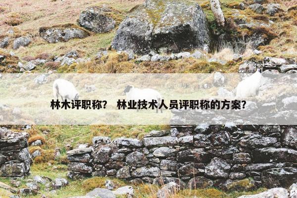 林木评职称？ 林业技术人员评职称的方案？