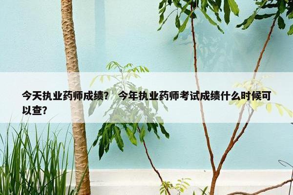 今天执业药师成绩？ 今年执业药师考试成绩什么时候可以查？