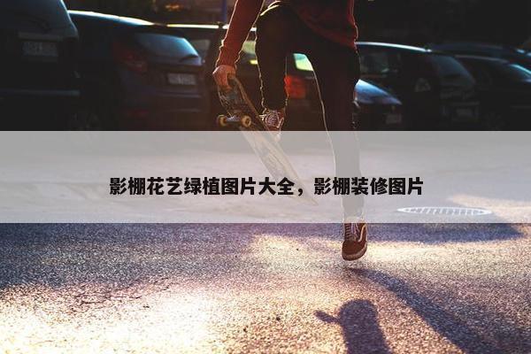 影棚花艺绿植图片大全，影棚装修图片