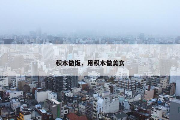 积木做饭，用积木做美食