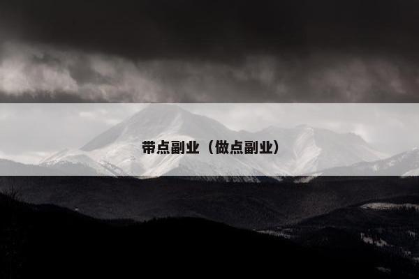 带点副业（做点副业）