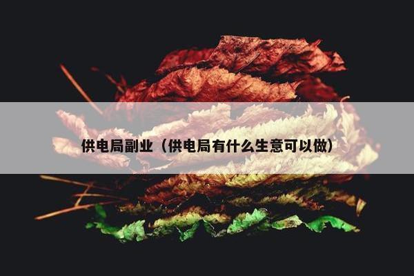 供电局副业（供电局有什么生意可以做）